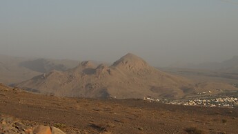 The View