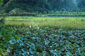 Tam Coc Garden