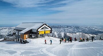 Alpine Villa Nozawa