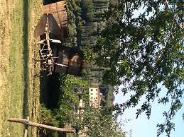 Agriturismo Podere Ficareto