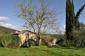 Agriturismo Podere Ficareto