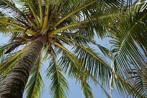 Nature Beach Resort