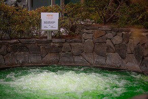 Dukgu Oncheon Hotel