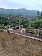 Cliff Haven Homestay