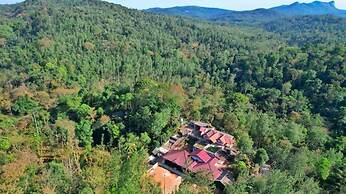 Cliff Haven Homestay