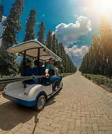 Flamingo Lake Resort