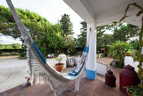 Sintra Farm Villa Guest House
