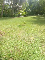 Alankulama Waana Resort