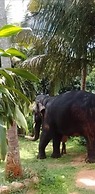 Alankulama Waana Resort