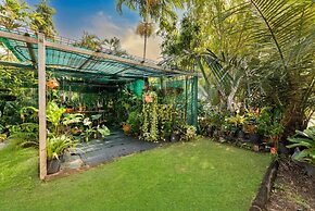 Nature s Nest Pool SPA Outdoor Kitchen Dining