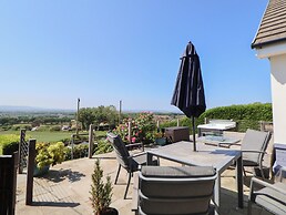 Buzzards View