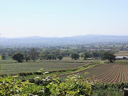 Buzzards View