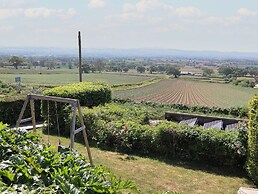 Buzzards View