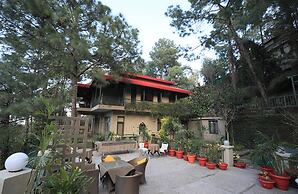 amã Stays & Trails 7 Pines, Kasauli
