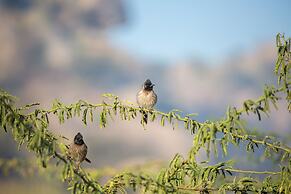 Rawla Bisalpur