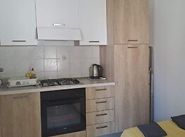 Apartments Boris Donji Karin
