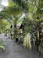 Jungle Oasis