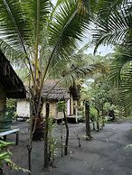Jungle Oasis