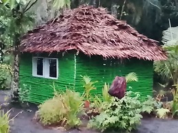 Jungle Oasis