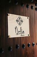 Riad Signature Medina