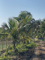 Fulgulab Lawns & Homestays