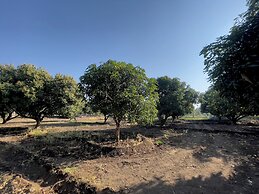 Fulgulab Lawns & Homestays