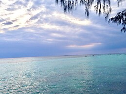 Miska Zanzibar