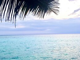 Miska Zanzibar