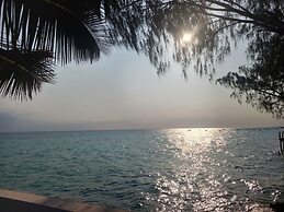 Miska Zanzibar
