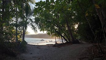 Villa Pura Vida - Mango