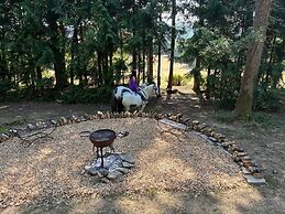2 Guests - Pet Friendly - Traditional Gypsy Vardo