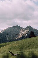 Naturhotel Chesa Valisa