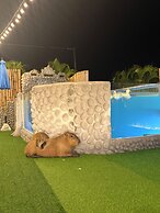 Capybara Zen Resort And Spa