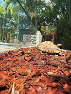 Capybara Zen Resort And Spa
