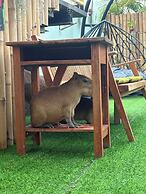 Capybara Zen Resort And Spa