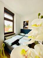 Spacious 4BR for 15 & 15 Min to Danube