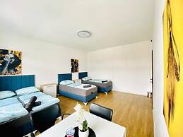 Spacious 4BR for 15 & 15 Min to Danube
