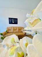 Spacious 4BR for 15 & 15 Min to Danube