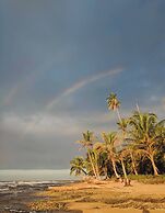 Caribbean Alchemy Cocles Beach