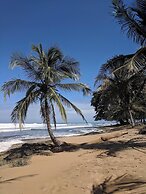 Caribbean Alchemy Cocles Beach