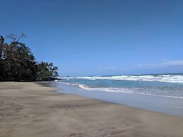 Caribbean Alchemy Cocles Beach