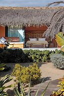 Lú Veé Oasis