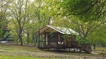 Wildbrook