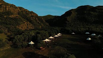 Wildbrook