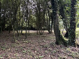 Delfryn, Llandeilo