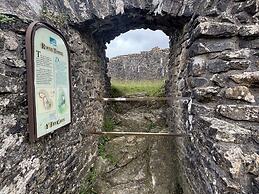 Delfryn, Llandeilo