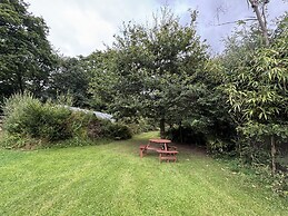 Delfryn, Llandeilo