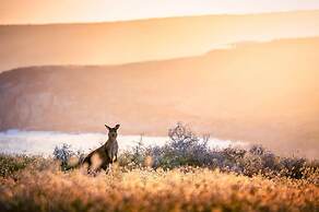 Unwind Kangaroo Island Dreaming