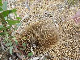 Unwind Kangaroo Island Dreaming