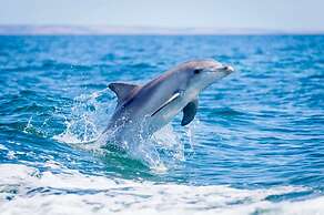 Unwind Kangaroo Island Dreaming
